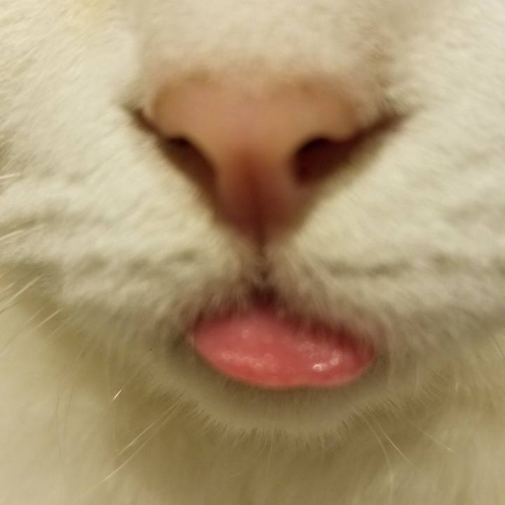 04268582 37b0 49a9 a4a9 b3fc5d3cec47 1568838021698