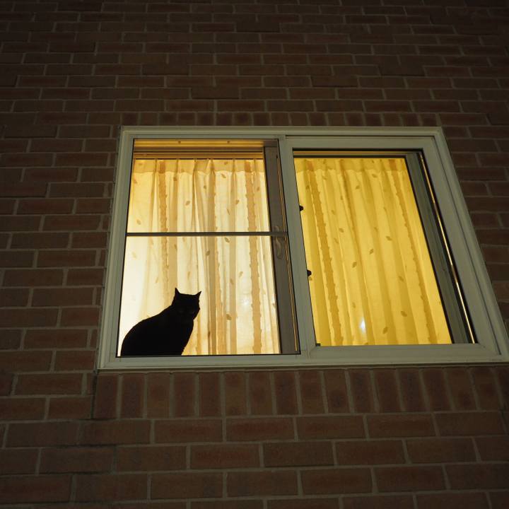 0426c61f f61c 467c b0ec aba9a61ae8aa 1535724085932