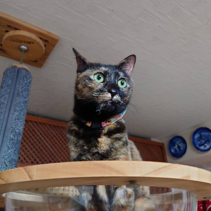 04273442 2907 46a2 8316 98ae1b0a0d74 1611447435693