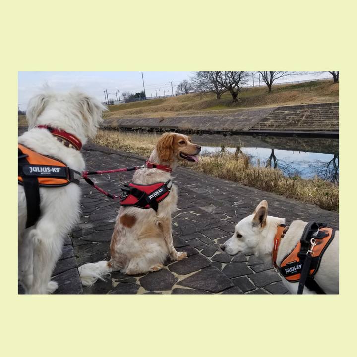 04275757 023e 4e6a 803e 89b847ecdae8 1676781480264