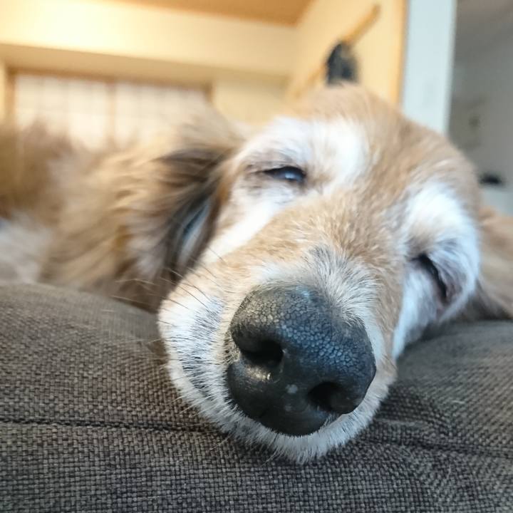 04277963 f707 420f 9800 e77e9369c46b 1622739081006