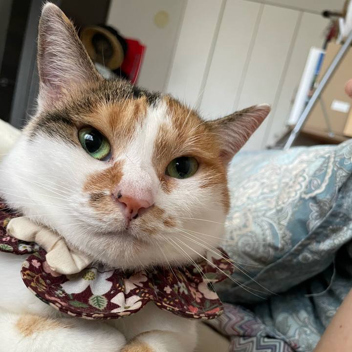 04278264 ec10 435c bfbd a736c26bf20d 1759634816316