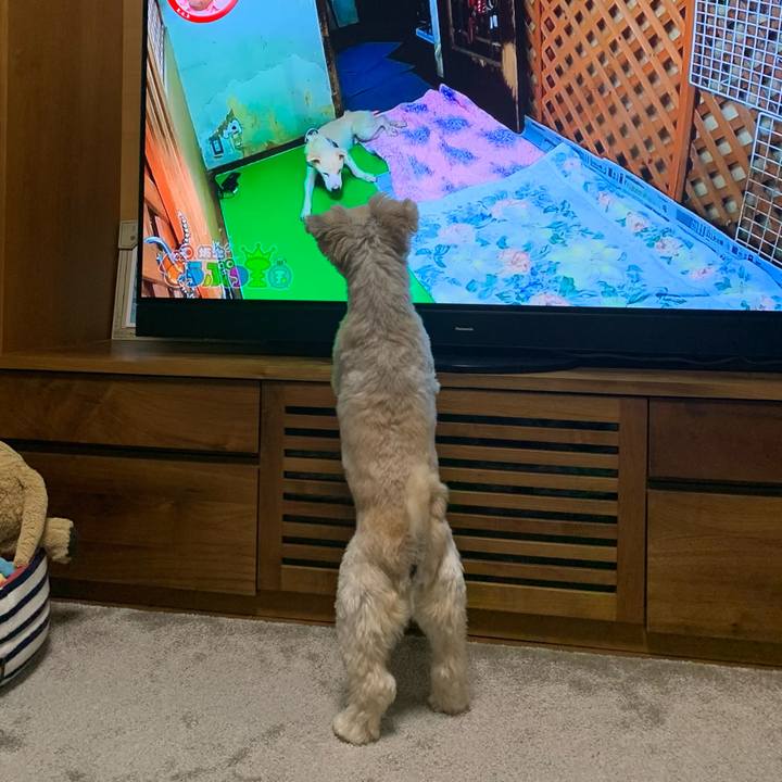 0427d5cb 226c 4bd4 9a11 d69a5938b54a 1686385180142