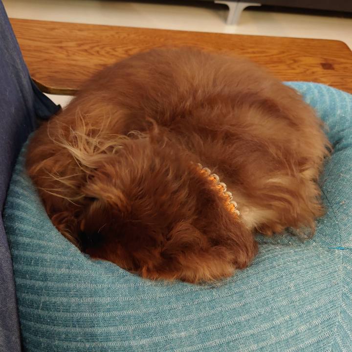 0427ef6f a7fc 4615 8331 310d4785e763 1698126895470