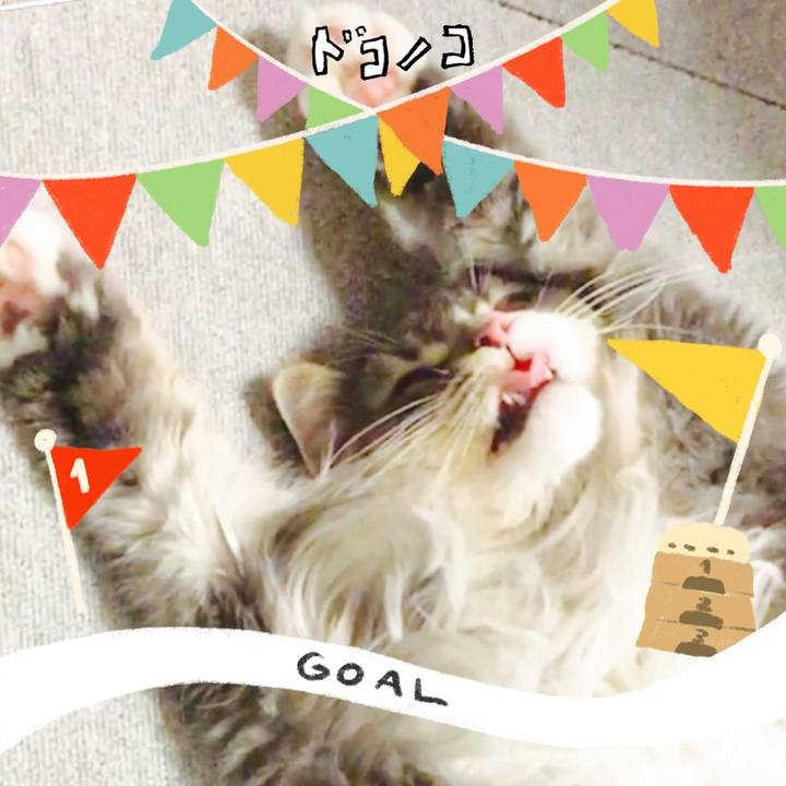 04280527 5f09 4cb0 84ab d3e6111c2b0f 1729124280731