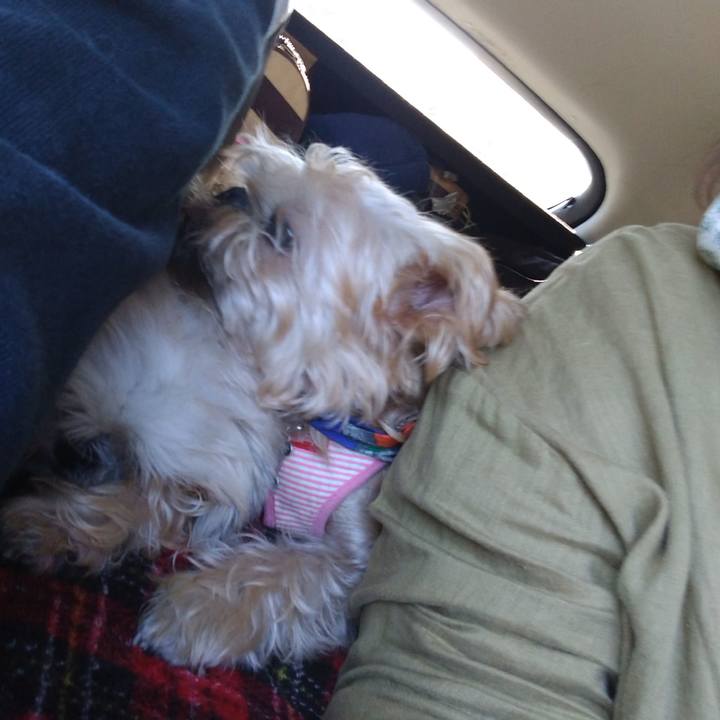 04286adc cb53 48c2 9e96 33983c1a7a0b 1603806640882