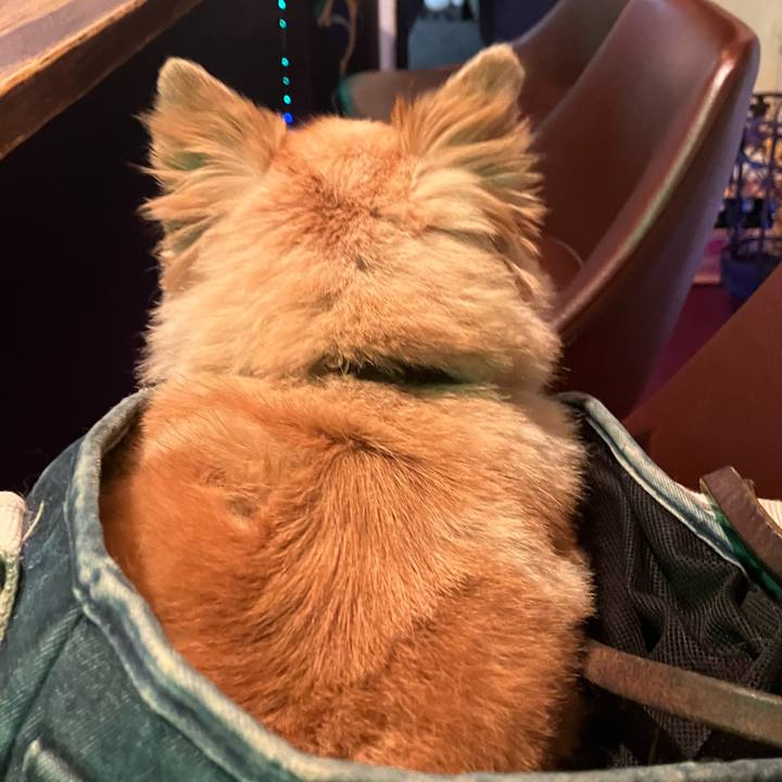 0428e64c 49d0 46c7 a97e 45e1b5dfd732 1762095690454