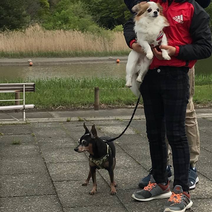 0429d500 3ee9 4850 9633 0249d4989be7 1556536809720