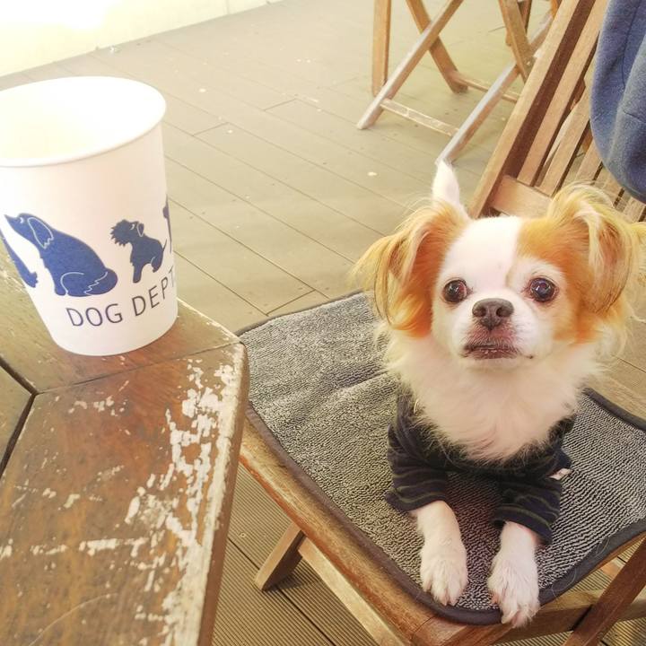 042a3375 8f91 42f9 a91c 724b4a8b85f9 1541829729738