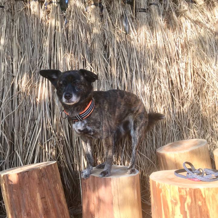 042a3b45 27ee 4419 b005 60d1aa1d5b82 1547466322692