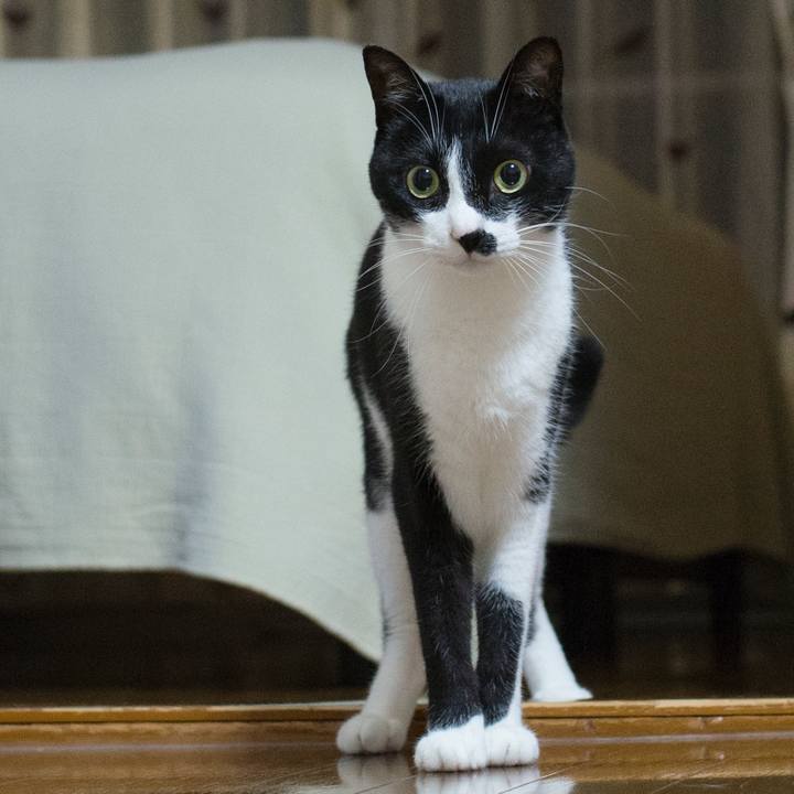 042a60cf b2df 4287 9b21 d5b6d1abdbcf 1528414465482