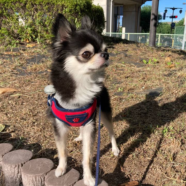 042a6b77 f48f 47e1 b08f 42442748e7ec 1697987273900