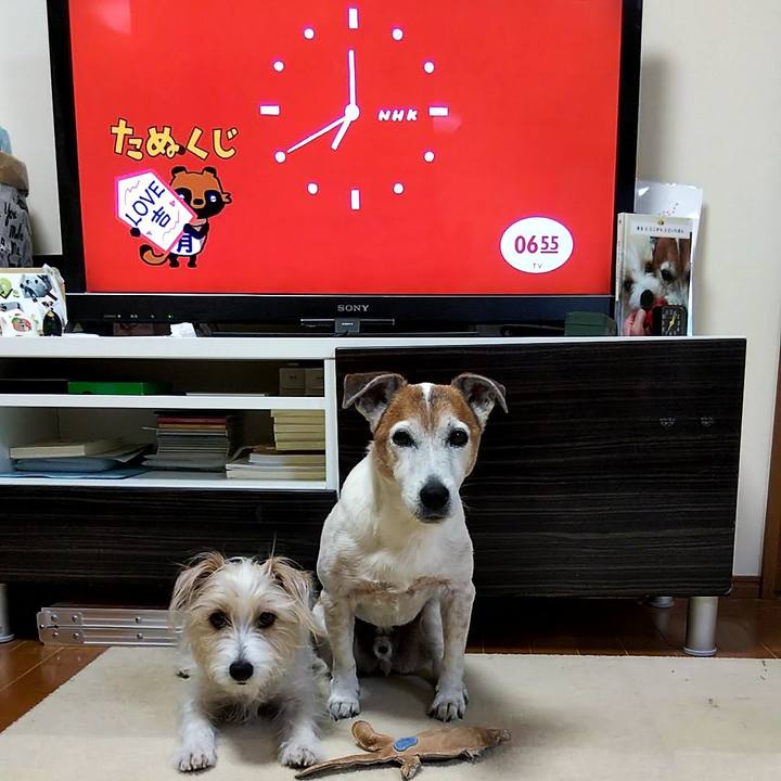 042a7b82 dbe2 4681 8af7 6c6050f25693 1558303689212