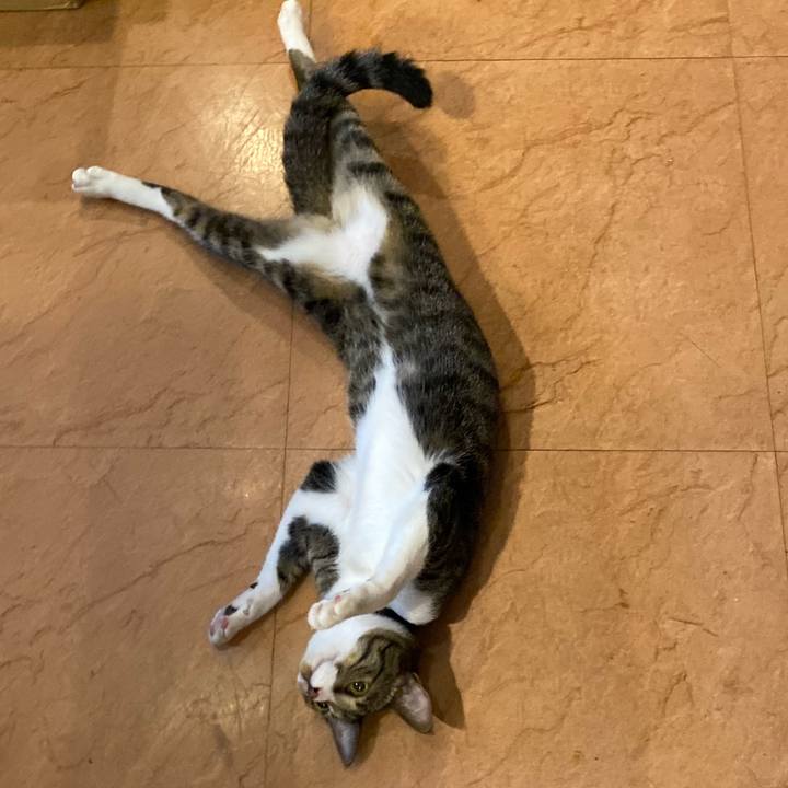 042abbd4 b325 443b a318 1a3b03b3db4f 1662455585832