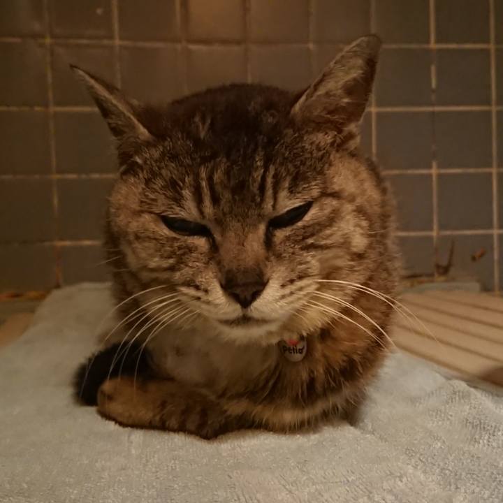 042aca70 6578 48a3 8e87 bce7fea1851d 1590748249170