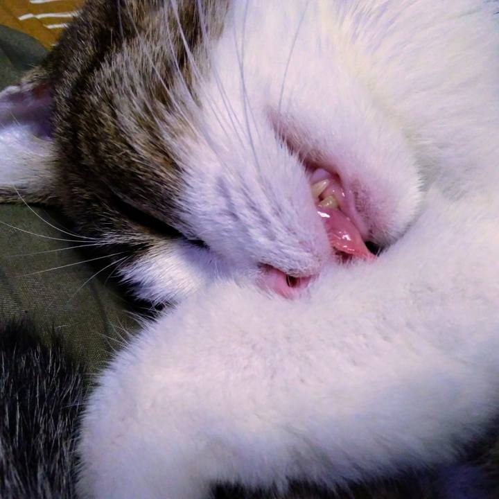 042b7705 480e 4005 b6ec 0fdf624bb538 1541505467227