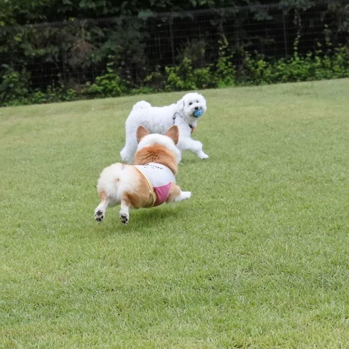 042bb169 fa92 4fd5 8634 06da398c054f 1600956201109