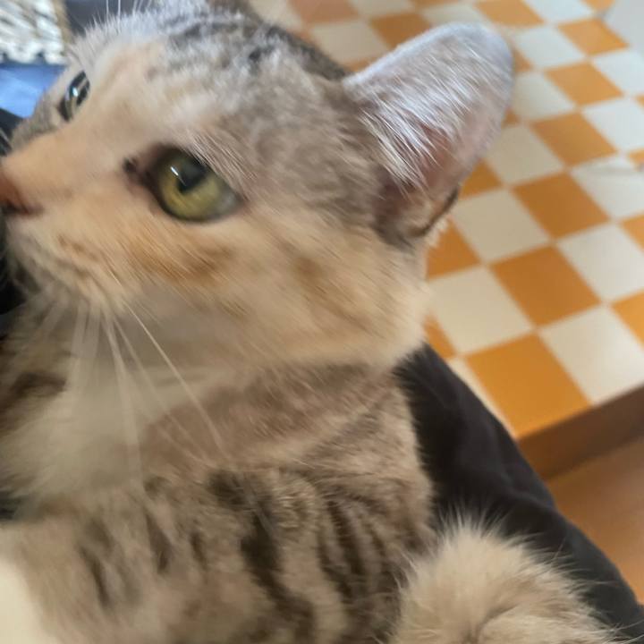 042c3425 e843 4ebd 9c0b 4a20c2c66874 1771123741701