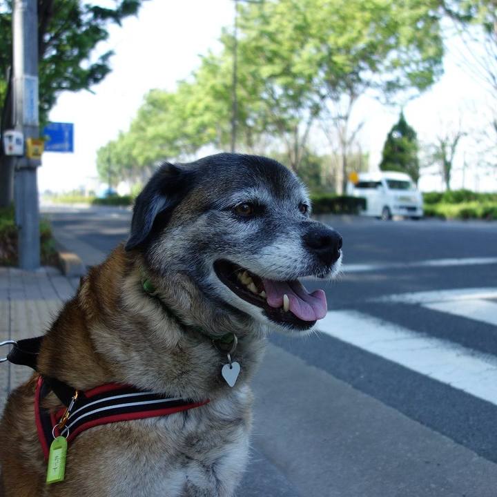 042c6a84 022e 4159 a35f 5cfdec958bcf 1524359235725