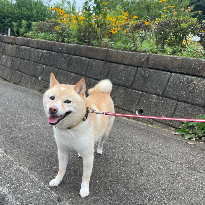 042ca32b 0a6e 4649 b1fa 87385ed34b33 1658529299984