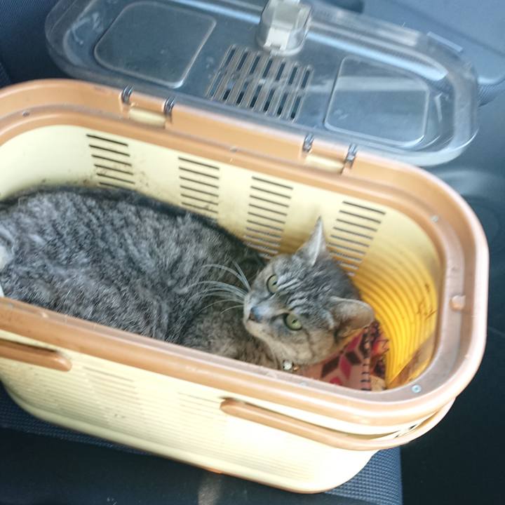 042cadb5 0475 45df af20 7c1107feda99 1585619372151