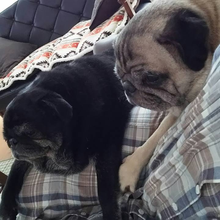 042cc163 7010 4cd6 9ee0 ef2acb8ee600 1530039663405