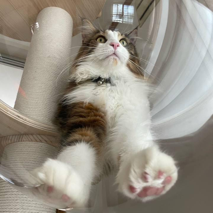 042cc241 9787 4645 a8c7 e5d2ea55e7c0 1657232729546