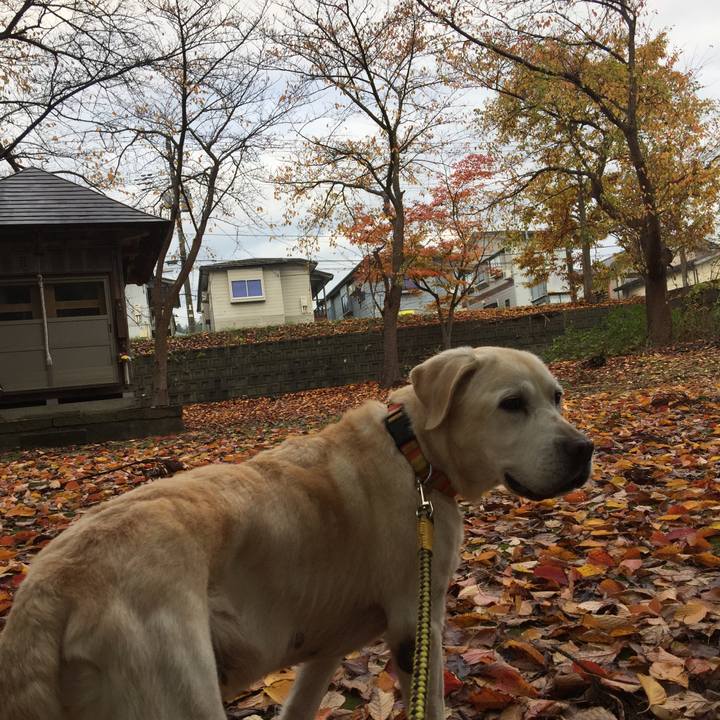 042ccae4 d7b8 49b8 b6ac 633a5c89a290 1603882151503