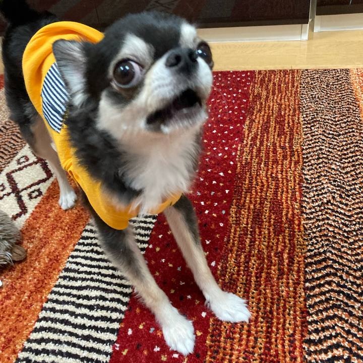 042cef8e aa6b 48ee 894f 7266b0570102 1670687736046