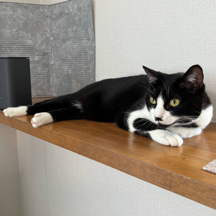 042d09ad 1d4a 43b8 81ec 44fc40147812 1782788916240