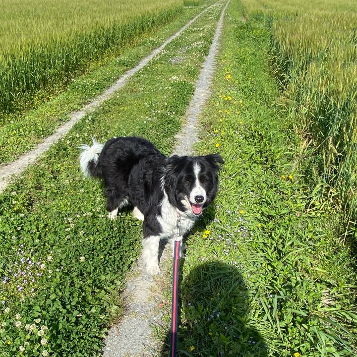 042d2080 d372 4ff7 b350 7ae96e24ce21 1682214201792