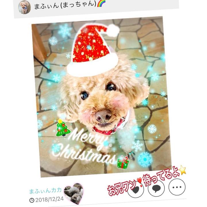 042d2c01 5847 413a afee 119471723395 1703400390949