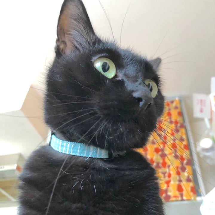 042d3409 7ced 444c 8476 c283a11fc553 1572051633854