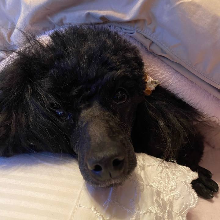 042d51ca abfe 41a1 8470 ad7a161bff06 1614463425294