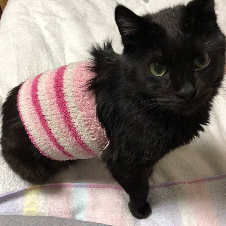 042d6e94 29e7 4d5d 89ee b0461d2f4eb5 1587554893946