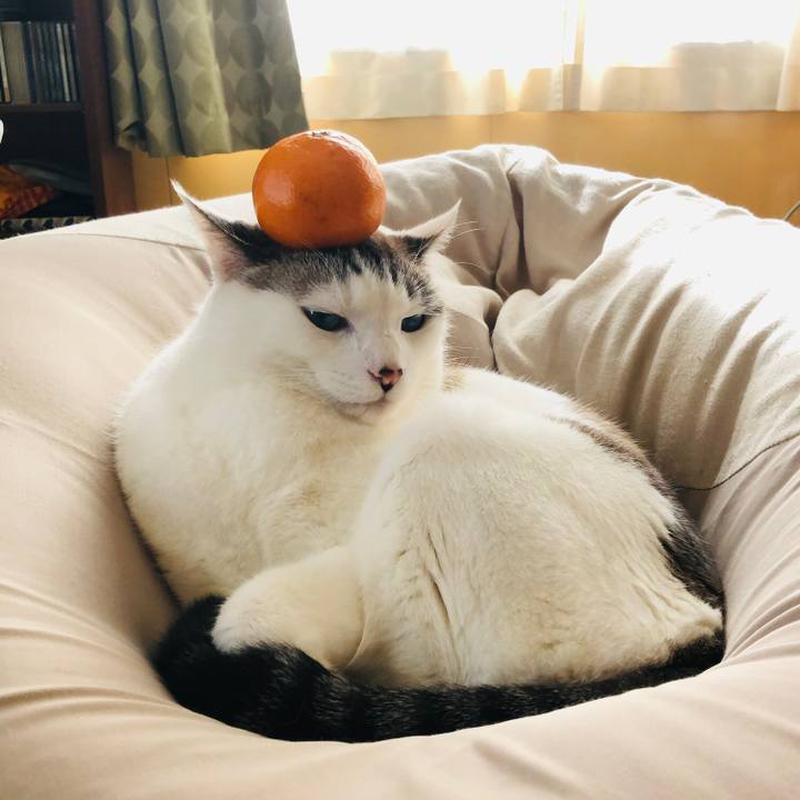 042d7fb6 125e 4607 bf69 a76b98c8a71d 1672577845873