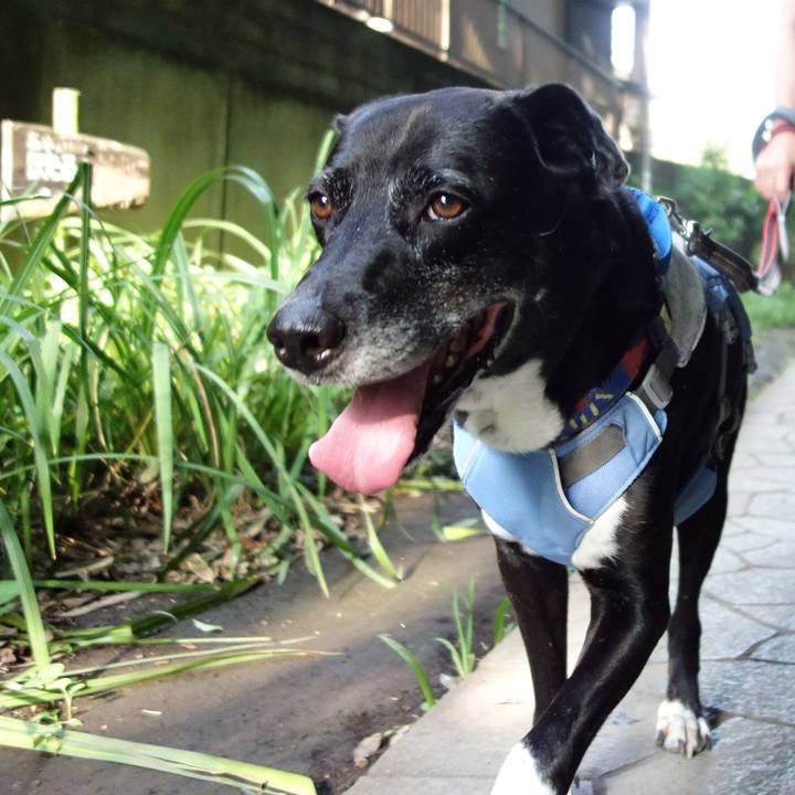 042d8d63 5077 4a32 b4aa 1f2bc7446e44 1722728462274