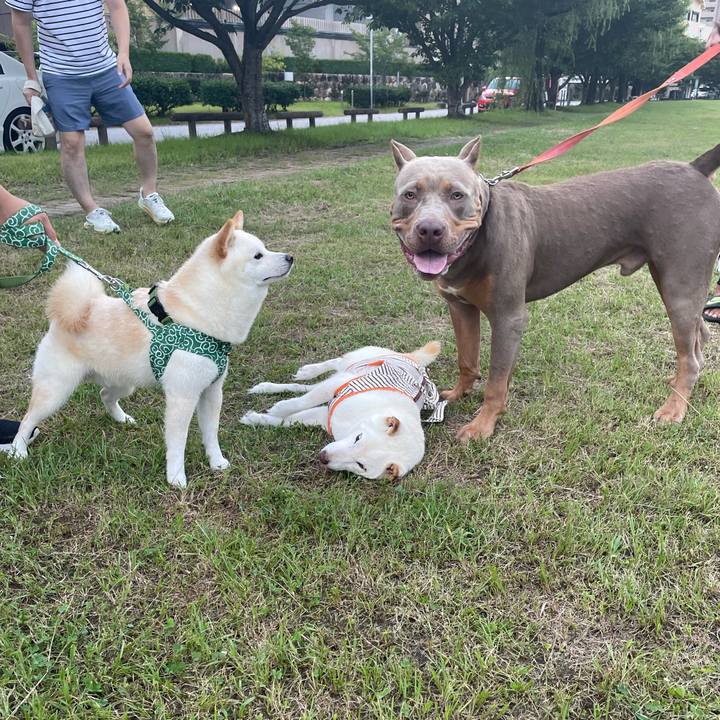 042d951c 80a9 456d bd69 492658deaf01 1659273079148