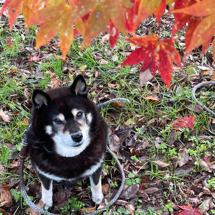 042e7a99 7475 4d36 a27a 0839d3b29851 1700961394730