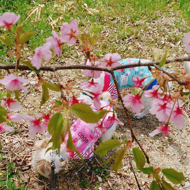 042e7cdc 6152 45b1 8846 3efe81d41f67 1521352666981