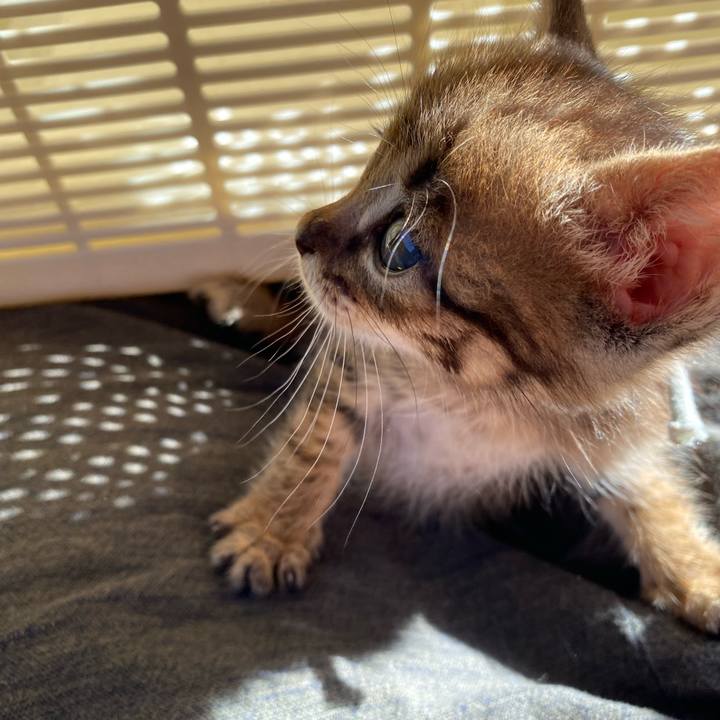 042e9b91 c89f 43a2 bb23 f00786b57720 1635140968188