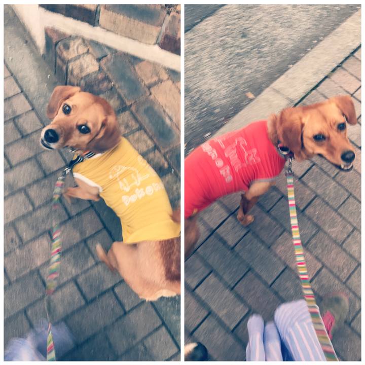 042ebe78 02b6 44e2 aeb7 e82c6706cc77 1528537888069