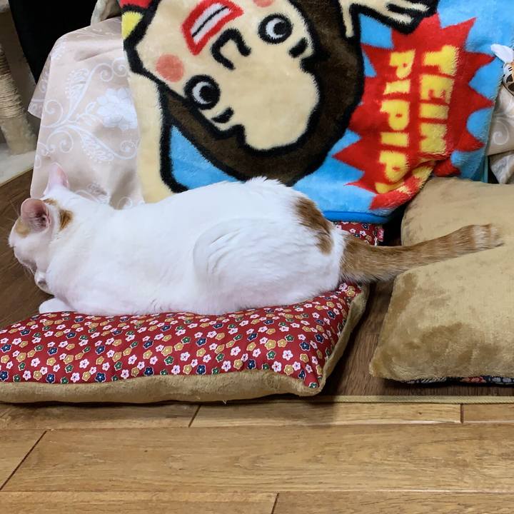 042f1271 1279 482b 91a6 632170f142ab 1573819343768