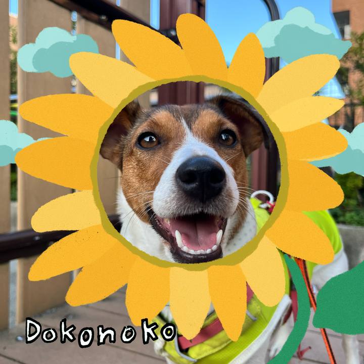 042f230a a456 494d 8aba 97eb341266bf 1723681093106