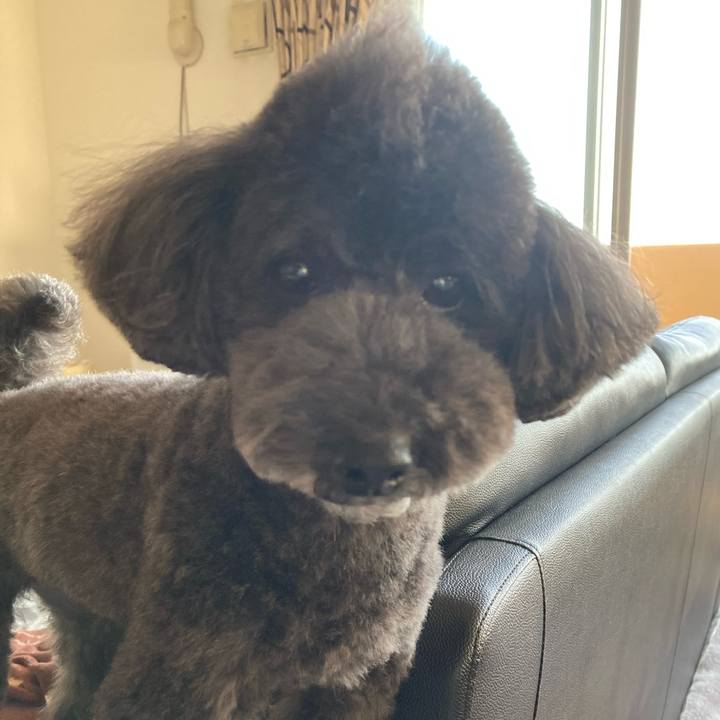 042f3d52 abfe 43fb 9e35 2fe13afa52d4 1653554030313