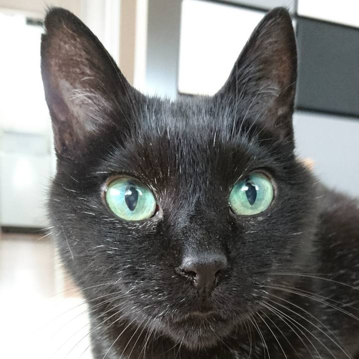 042f4399 2af4 4af7 af07 7677527ad2e6 1556323725864