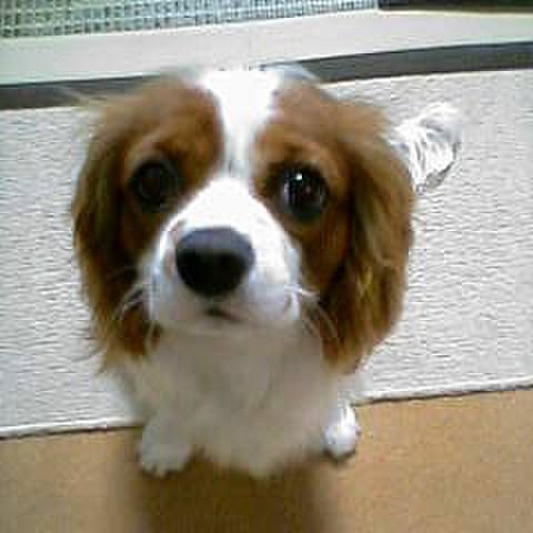 042f61bb 6b7d 4338 80d2 5c60935f8391 1515313801677