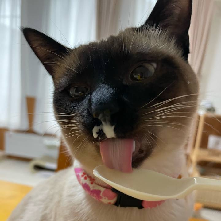 042f7961 4243 40d3 a668 14c7221d33e1 1713821072273