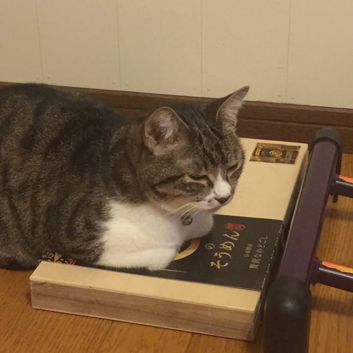 042f9245 7548 4271 9082 bf0e0fc82376 1561810622706