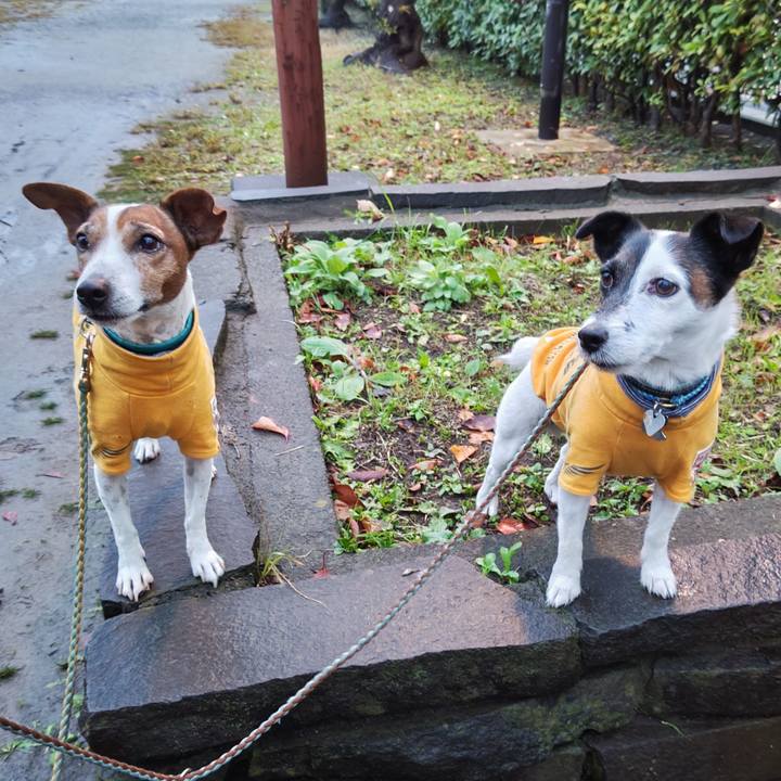 042f99aa 3c6b 4632 a197 b21f5023f6ea 1732662083189